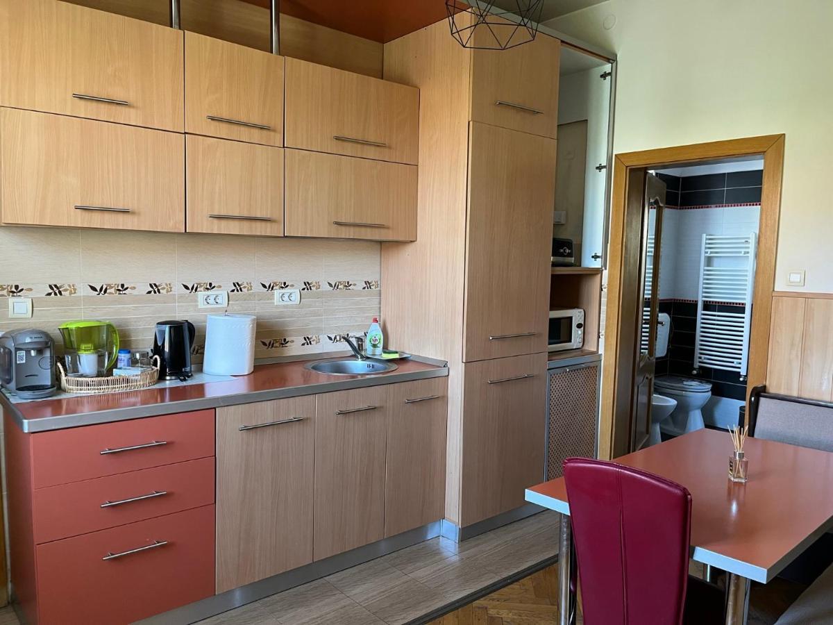 Schei Apartment 2 ブラショフ エクステリア 写真