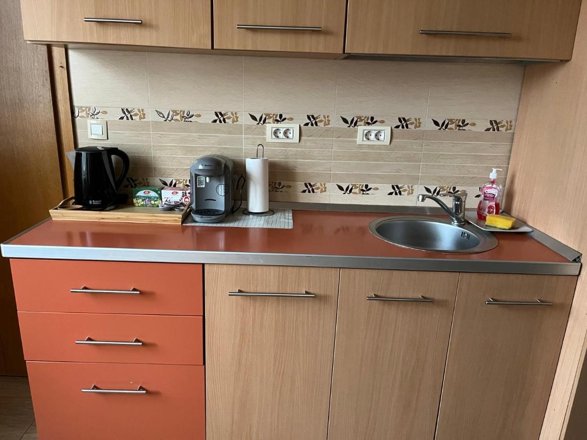 Schei Apartment 2 ブラショフ エクステリア 写真